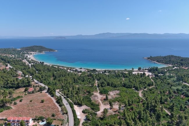 Paliouri